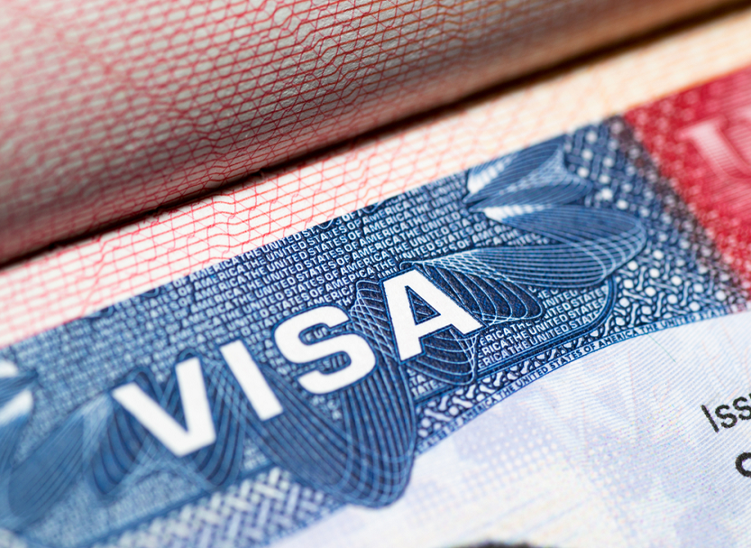 Online Visa Service Provider in Udaipur visa services in udaipur